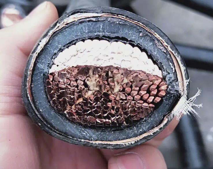 南方珠江電線電纜是現代社會中不可或缺的基礎設施.jpg 南方珠江電線電纜是現代社會中不可或缺的基礎設施.jpg